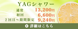 YAGシャワー